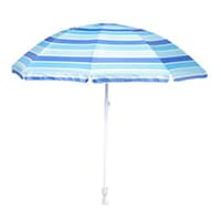parasol blueborder